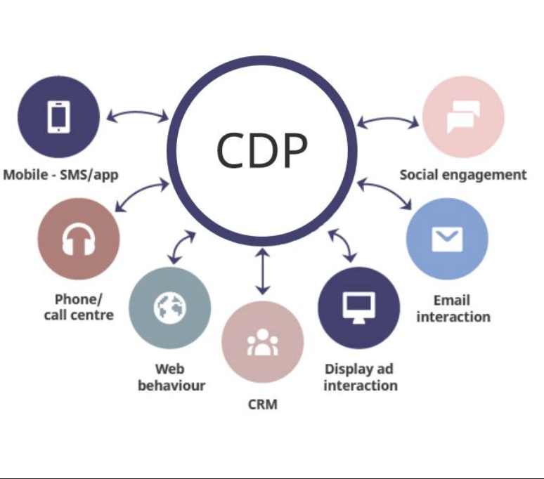 What is a Customer Data Platform (CDP)? A Complete Guide | WegWorks